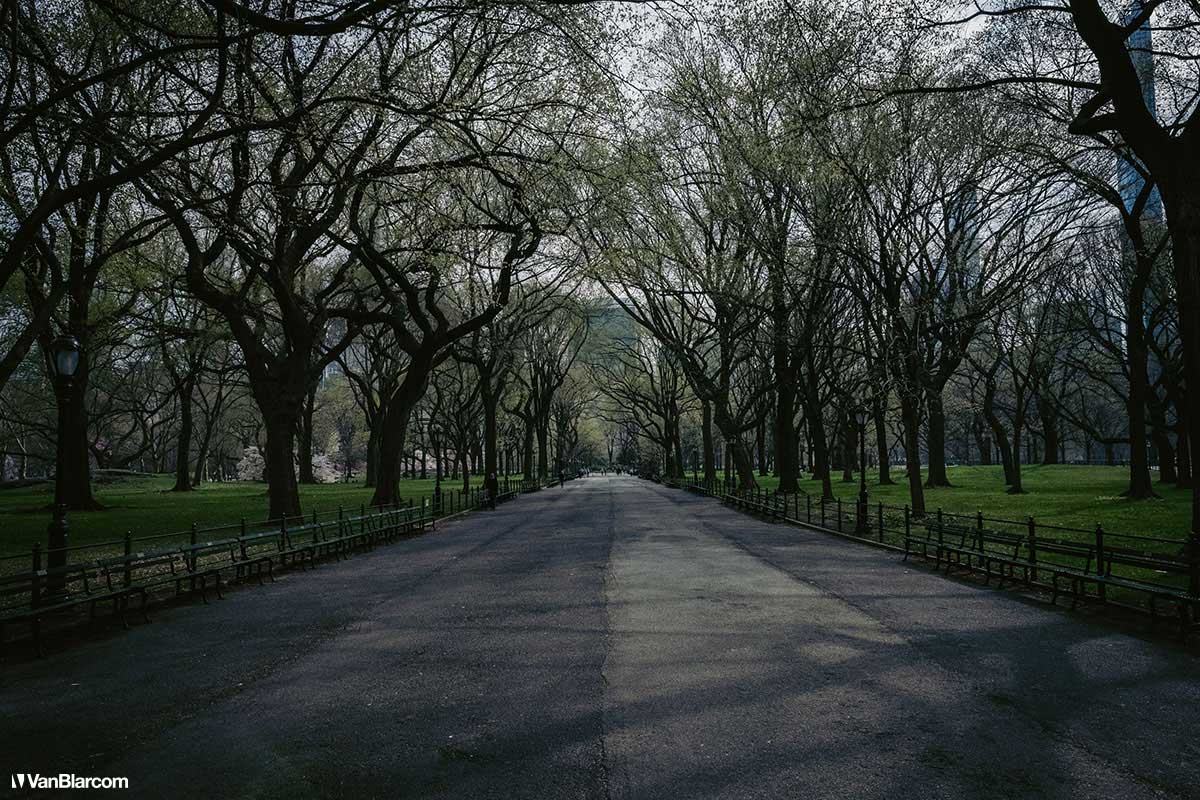 Social Distance New York City