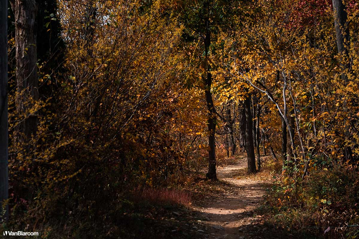 Pennsylvania Poconos in Autumn