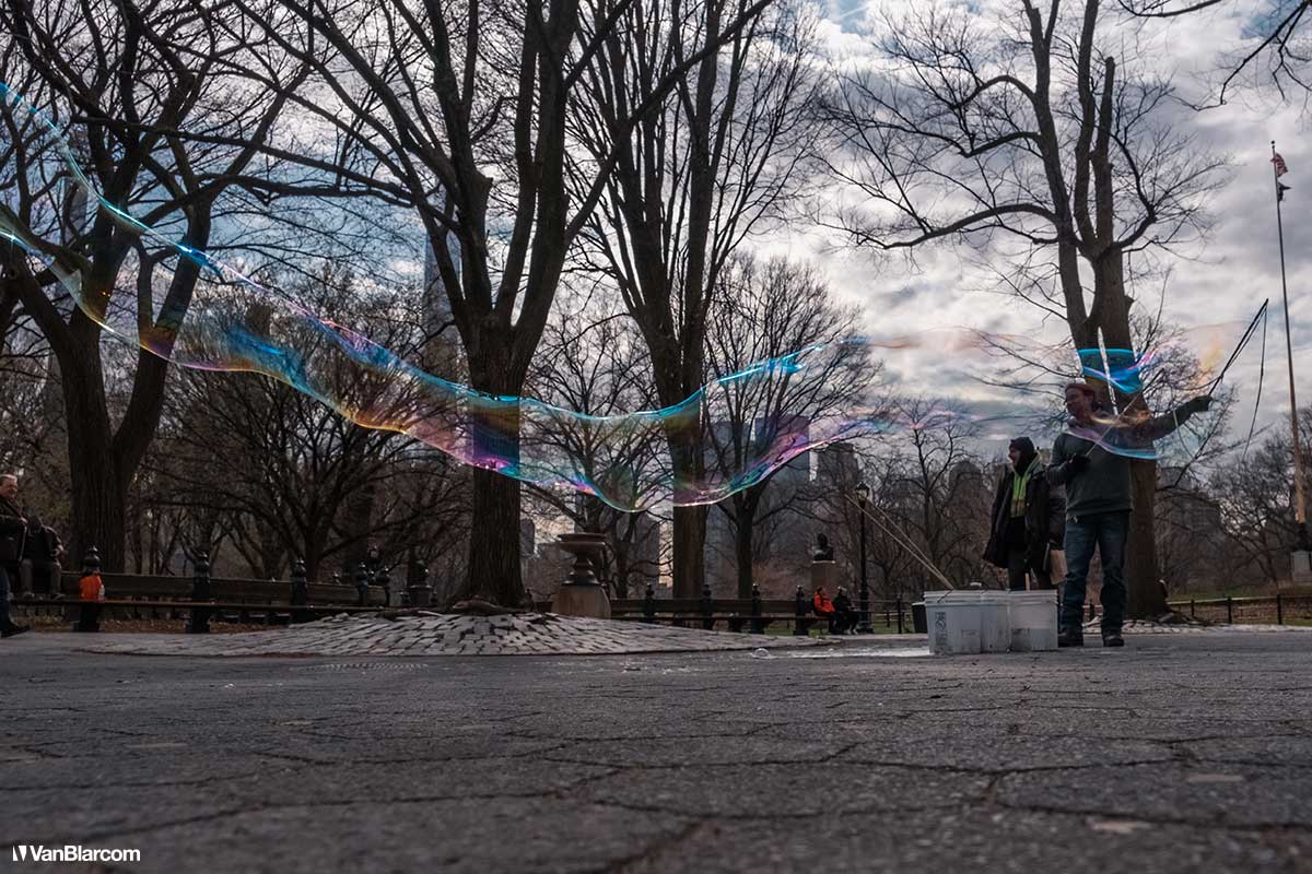Central Park NYC